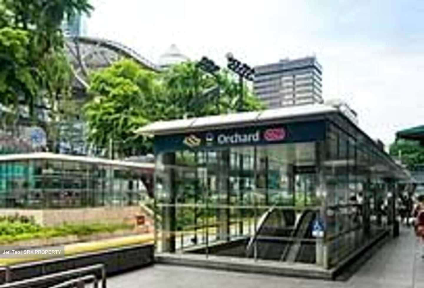 Lucky Plaza (D9), Shop House #464086141